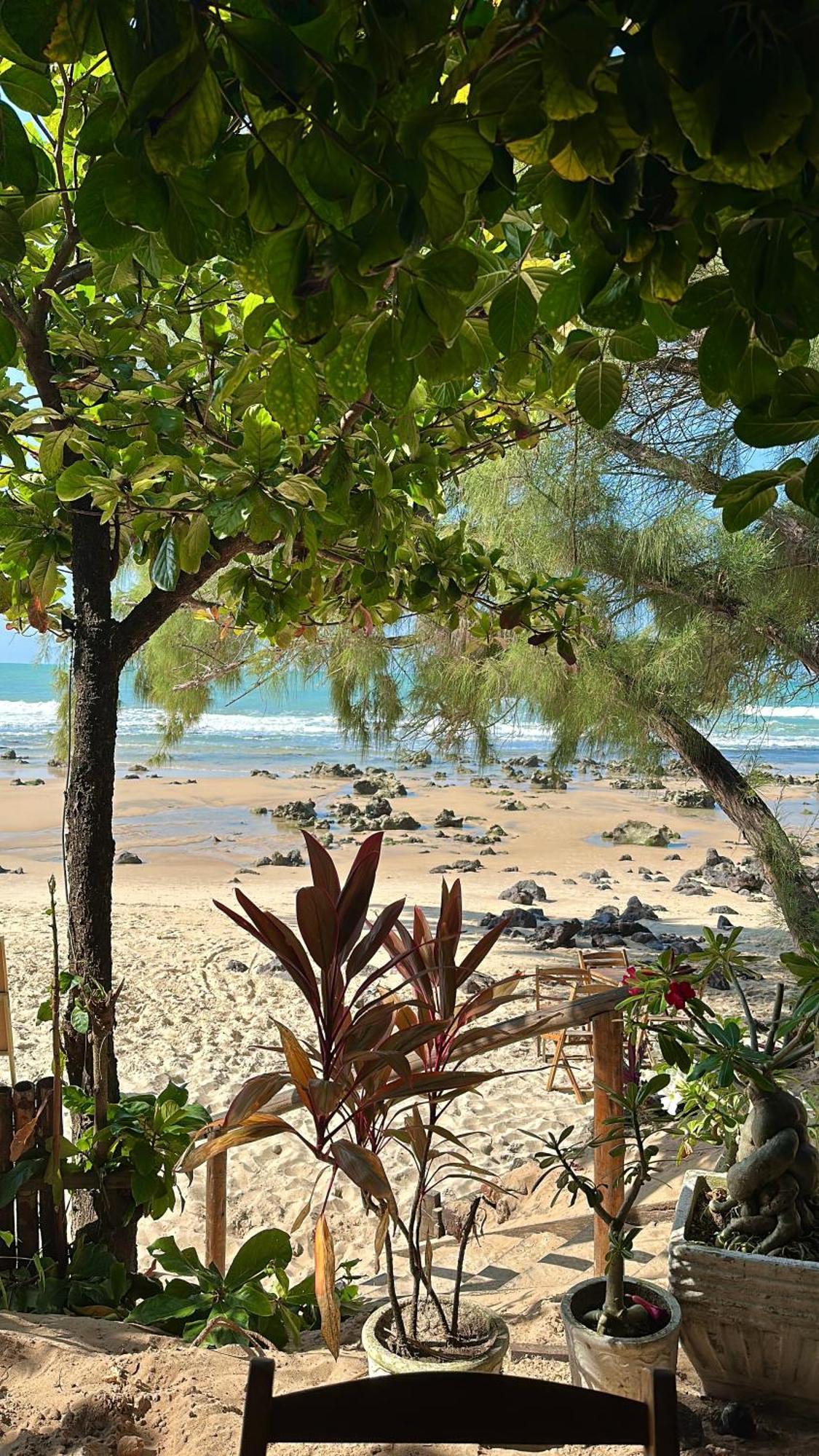 Pousada Paraiso Das Tartarugas Praia de Pipa エクステリア 写真