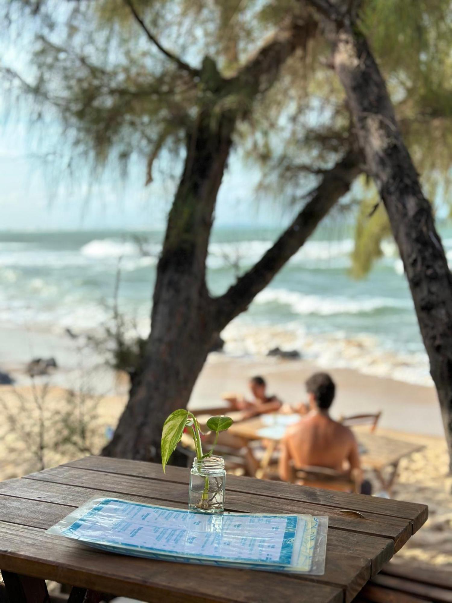 Pousada Paraiso Das Tartarugas Praia de Pipa エクステリア 写真