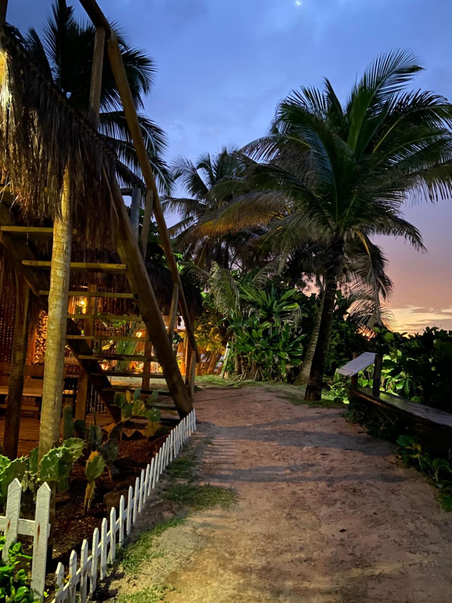 Pousada Paraiso Das Tartarugas Praia de Pipa エクステリア 写真