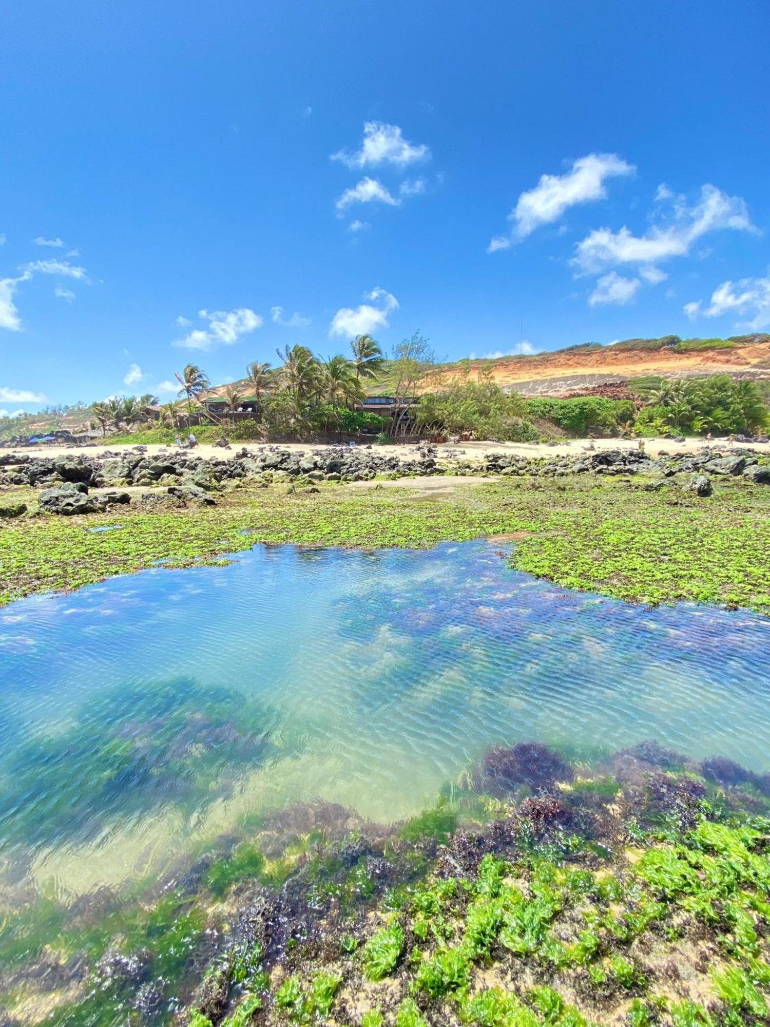 Pousada Paraiso Das Tartarugas Praia de Pipa エクステリア 写真